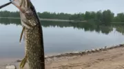 Отдых в Карелии с рыбалкой