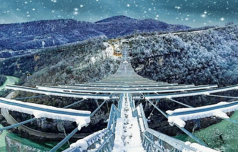 Сочи январь 2025